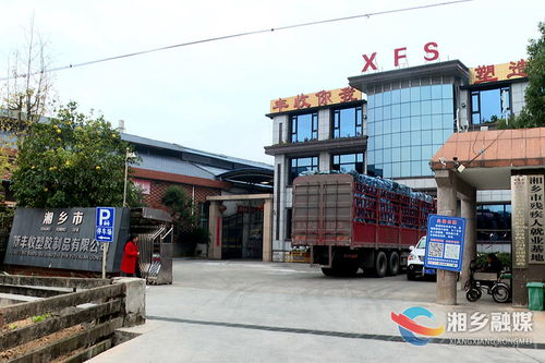 湘乡市新丰收塑胶制品获评 全省助残先进集体